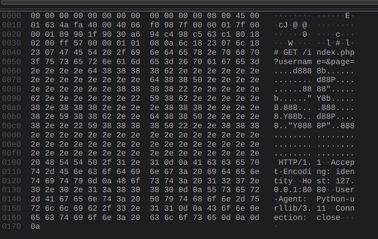 ASCII Art Flag