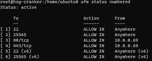 Sliver Server UFW Rules